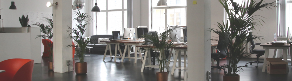 How To Decorate Your Office to Improve Employee Happiness