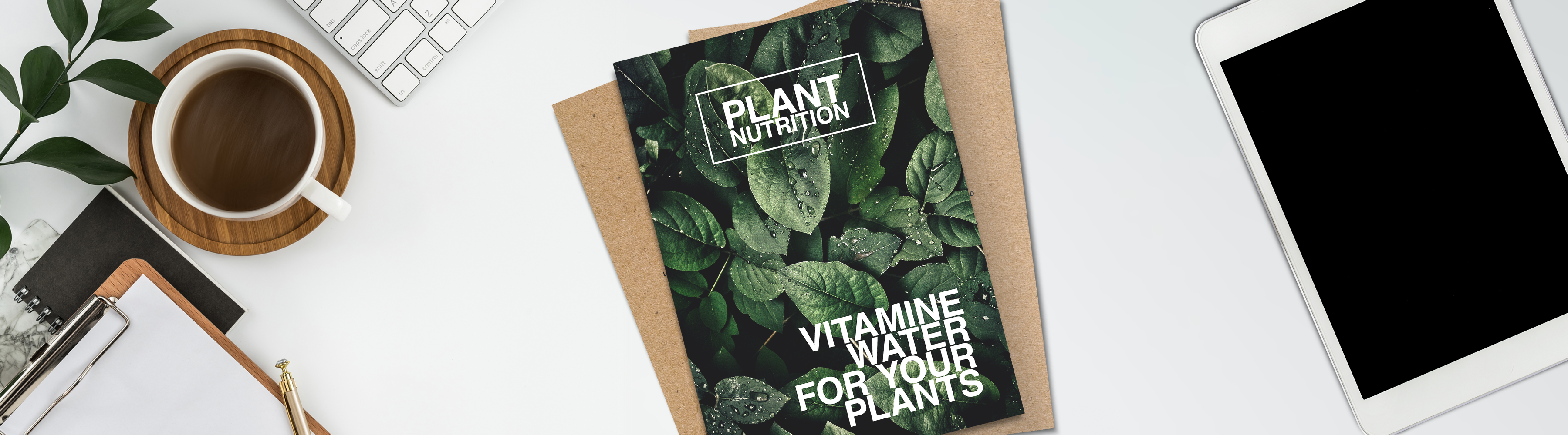 How to Choose the Right Eco-Flyer Material