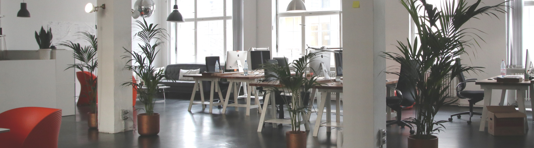 La décoration de bureaux pour améliorer le bonheur au travail