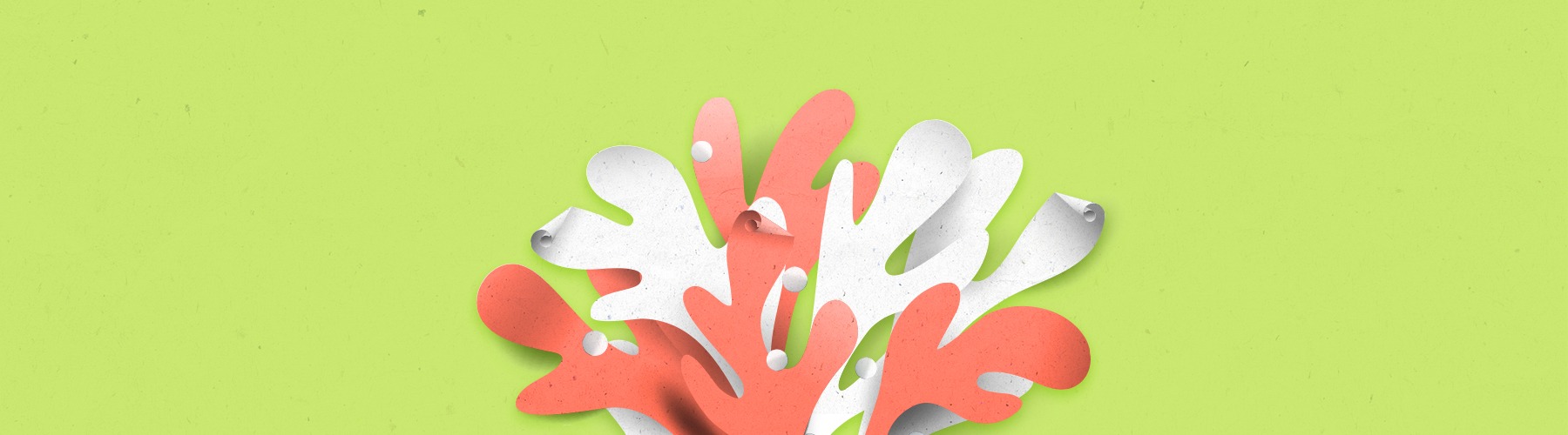 Flyers : Différents types de papier