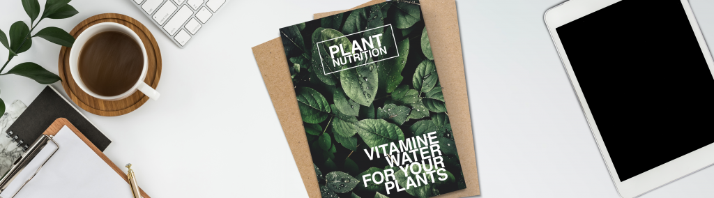 Comment choisir le bon matériel pour un flyer écologique