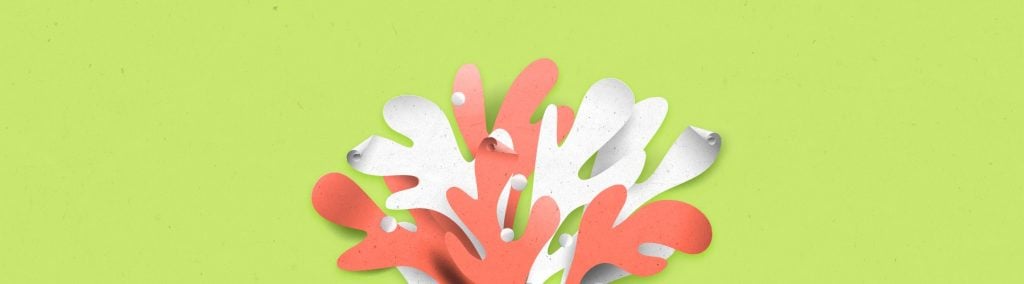 Volantini: Diversi tipi di carta