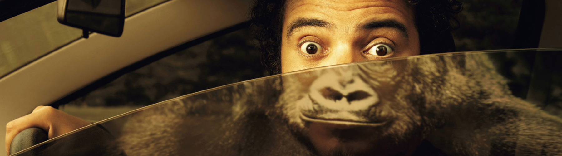 5 Grandi esempi di sticker marketing efficace 5 Grandi esempi di sticker marketing efficace