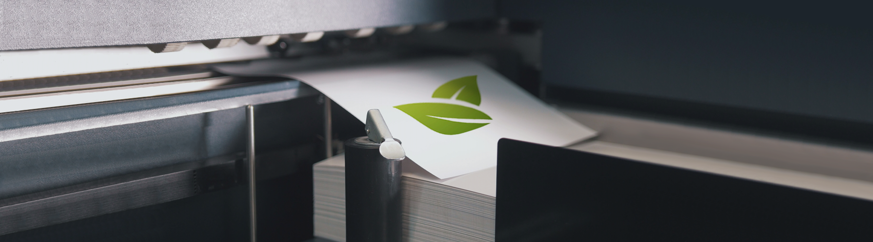 Cosa si intende per stampa ecologica? Cosa si intende per stampa ecologica?